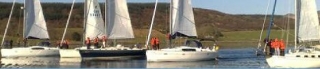 Their boats all lined up
